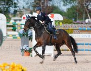 ARIOLDI F AGADIR CampITA2013- S5 1251 : AGADIR, ARIOLDI FRANCESCA, Campionati Italiani 2013, Cattolica, Horse Riviera Resort, foto di Stefano Secchi ©